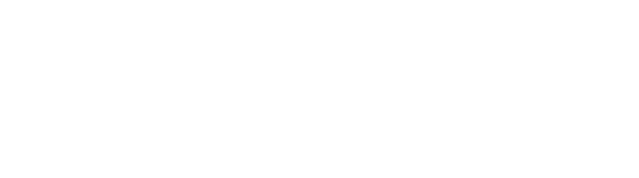 Drone X
